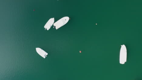 Top-down-view-of-the-marina-at-Lago-de-Bolarque-Spain