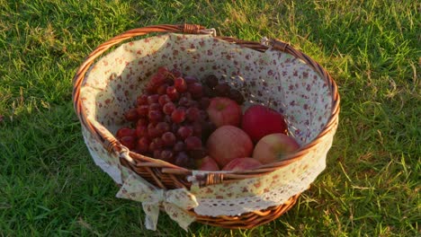 close slow zoom out shot of grapes and apples in a picnic basket