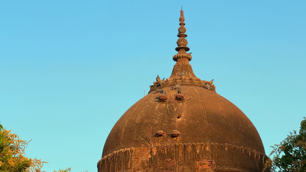 pegion landing and sitting on top of old mandir made in Ancient Indian architecture