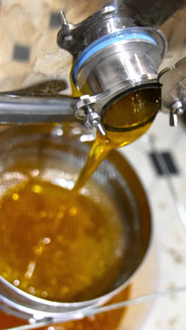 honey harvesting machine. sweet honey centifugal extracting. vertical video