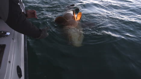 man grabbing fishing line with fish