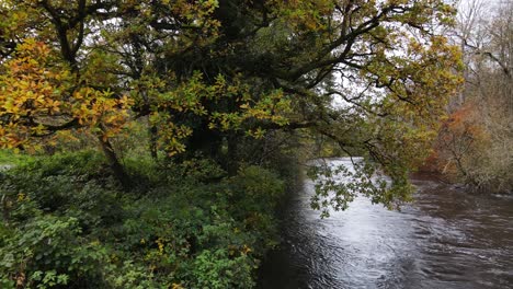 river liffey in late autumn near dublin in ireland