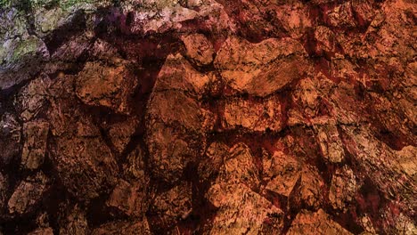 animación abstractamente colorida con un fondo líquido multicolor.