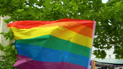 ondeando la bandera del arco iris lgbt contra un telón de fondo de hojas verdes