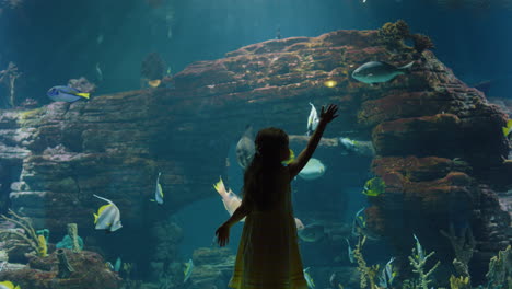 young girl at aquarium watching fish swimming in tank excited child having fun looking at colorful marine life in oceanarium corel reef habitat 4k