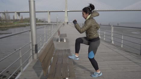 disparo en cámara lenta de una mujer joven enfocada entrenando en el muelle a la orilla del mar