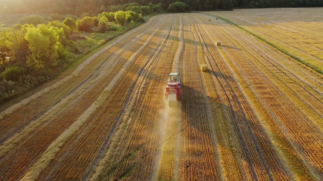 Aerial view on the field and tractor pressing hay. Agricultural machine is baling dried grass into square bale on the natural field background.