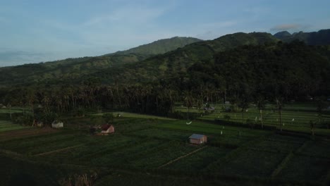 Drones-Aéreos-Orbitan-Sobre-Las-Pintorescas-Terrazas-De-Arroz-Y-El-Pueblo-De-Sidemen,-Bali,-Indonesia