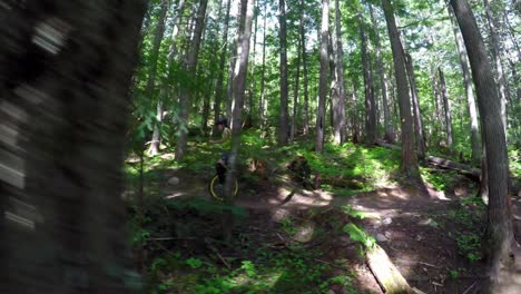 woman riding unicycle in forest path 4k