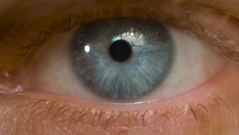 macro disparo de macho caucásico de ojo azul