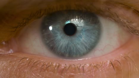 macro shot of caucasian male blue eye