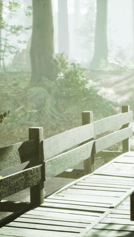 a wooden bridge leading into a foggy forest