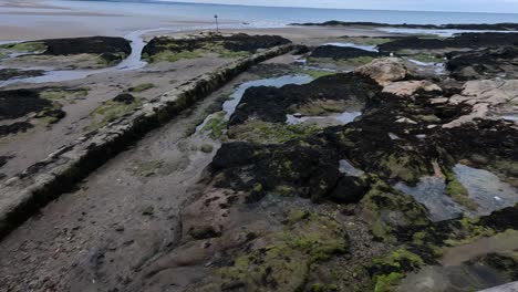 rocky shore with cloudy skies and ocean view