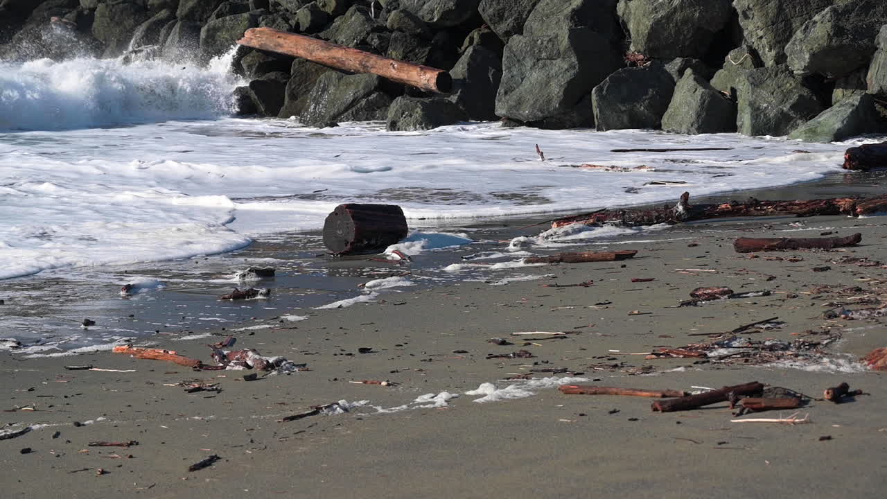 해안선에 나무 통나무가 있는 바위에 부서지는 거품