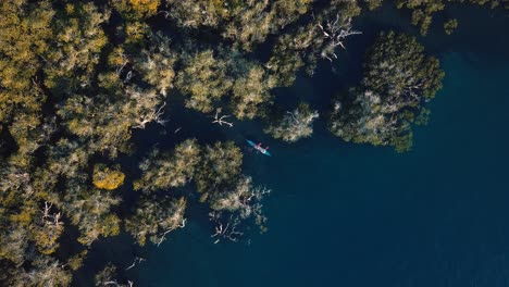 Kajakfahren-Zwischen-Mangroven-An-Einem-Sonnigen-Tag,-Zoom-Aus-Der-Luft