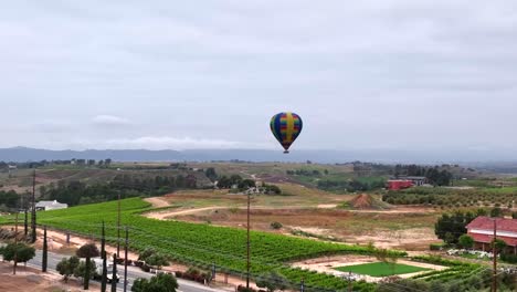 hot air balloon in temecula on early morning overcast day, aerial capture over wine vineyard