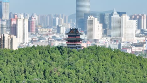 cityscape with pagoda and green trees