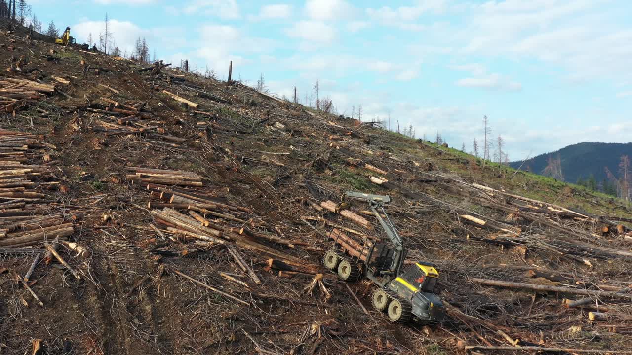 Drone Captures Forwarder Loading Logs on Steep BC Slope