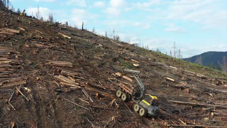 drone captures forwarder loading logs on steep bc slope