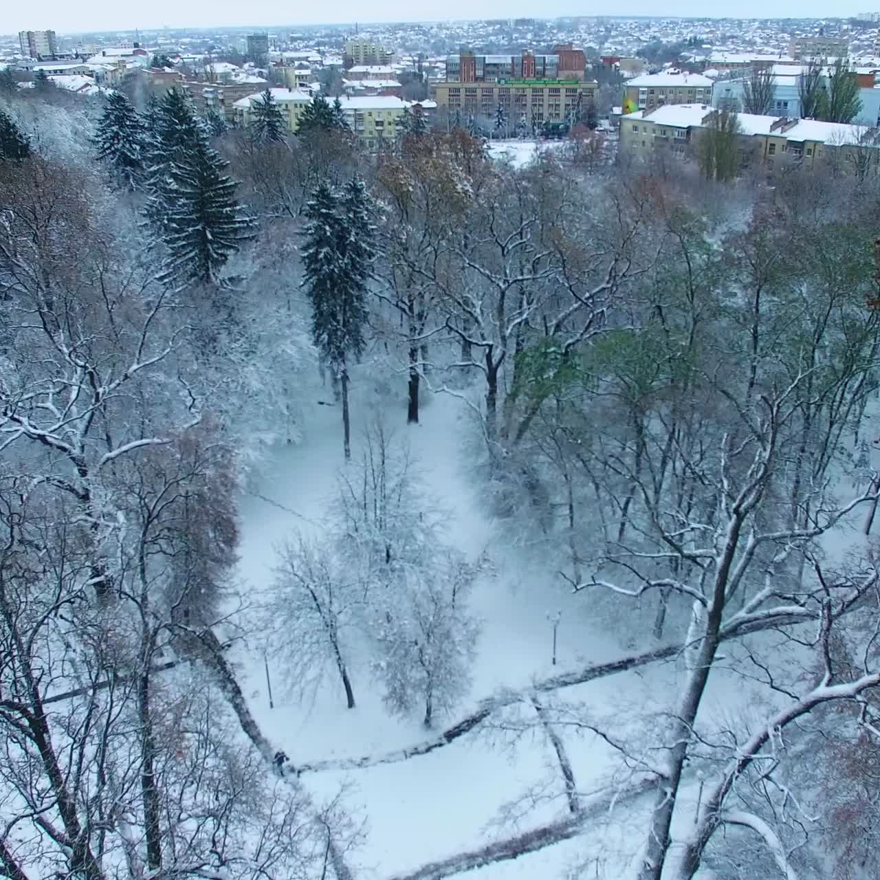Vast panorama of the city in winter season. Snow-covered trees in the park from top perspective
