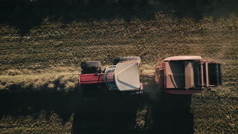 tractores cosechando cultivos en un campo al atardecer, vista aérea