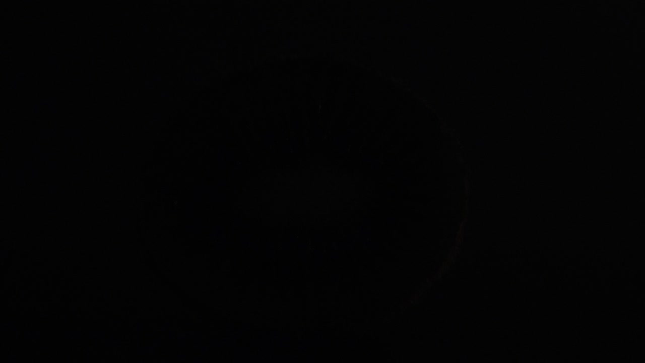 primer plano de una rebanada de kiwi