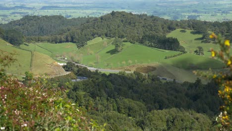 View-From-Kaimai-Range-Of-Vehicles-Passing-By-At-The-State-Highway-29-In-New-Zealand-With-Lush-Green-Foliage-On-A-Sunny-Day---high-angle-shot