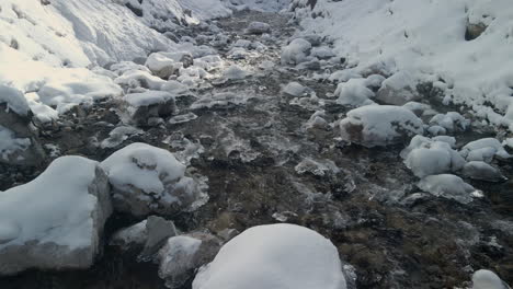 paisaje sereno de invierno: belleza en la naturaleza en un día frío y helado