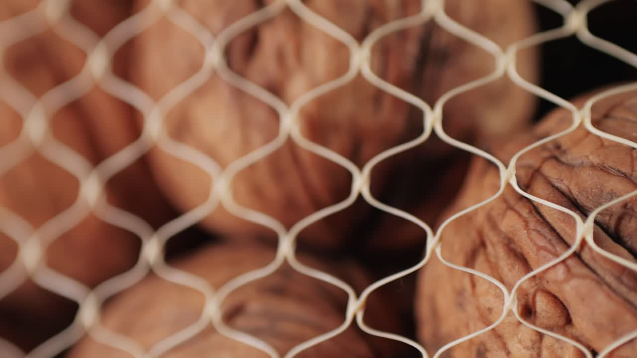 Walnuts in Mesh Packaging