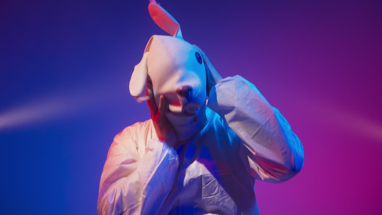 Person in Animal Masks with Neon Lights