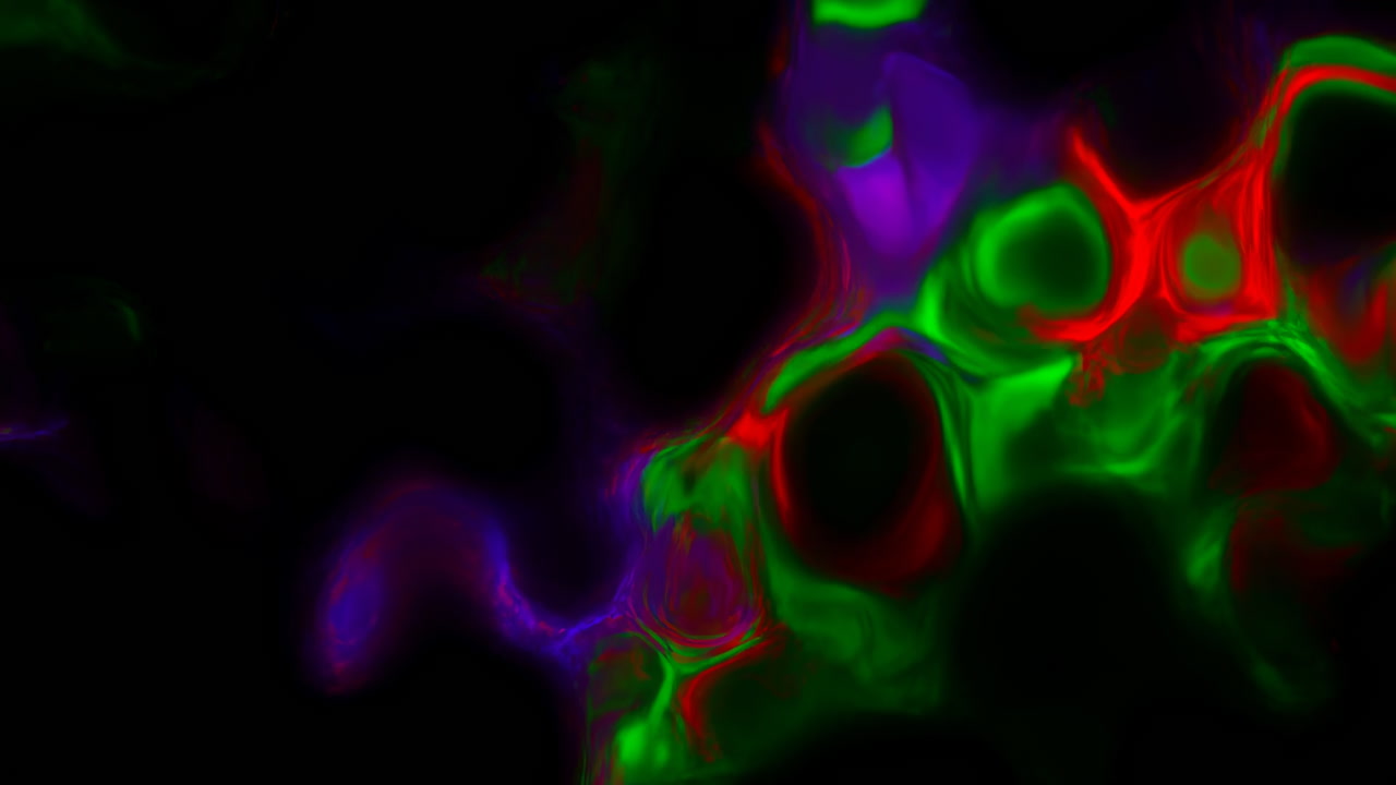 Fluorescent Cellular Forms Drifting In Darkness, Red Green Violet Staining Simulating Microscopic Tissue