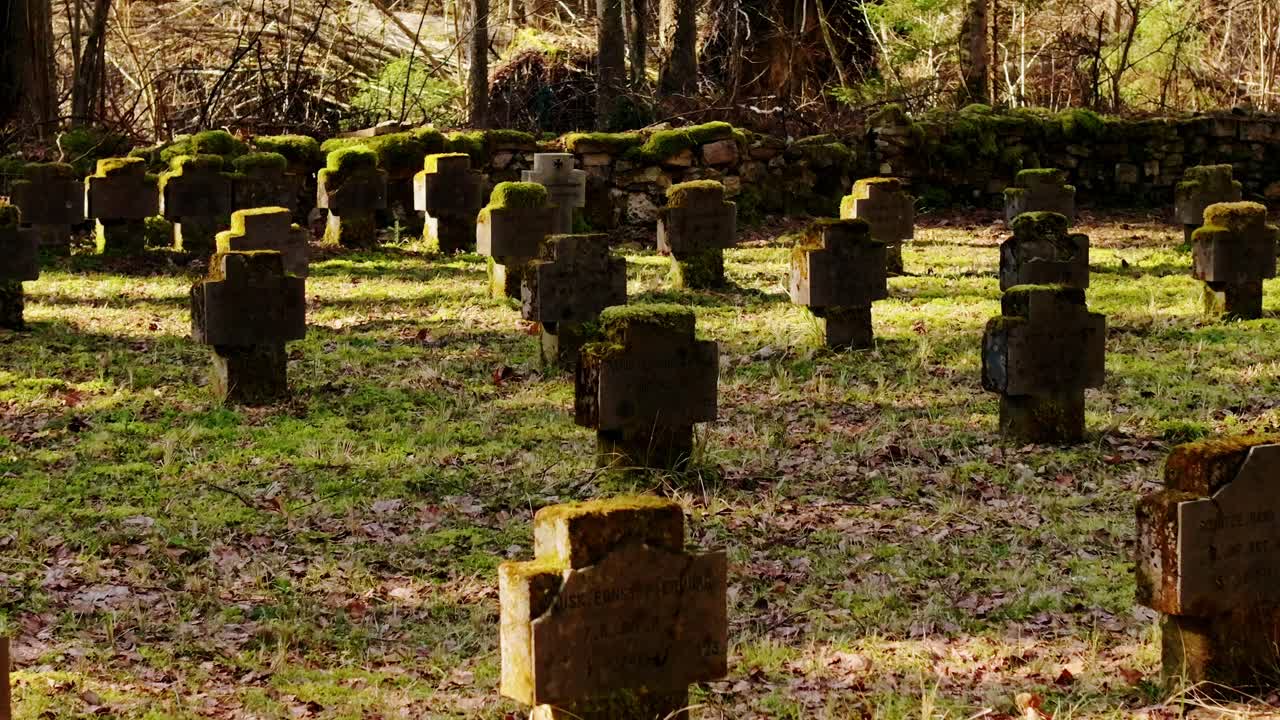 Rows of moss covered stone crosses mark fallen soldiers in quiet Latvian forest