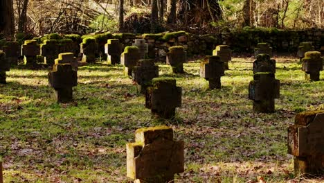 rows of moss covered stone crosses mark fallen soldiers in quiet latvian forest
