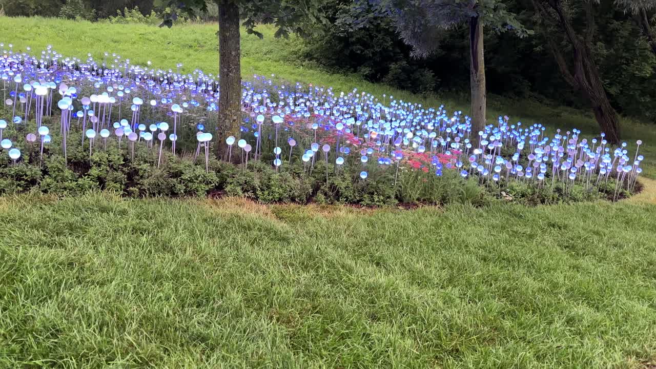 Electric flowers among the green grass (4K60)