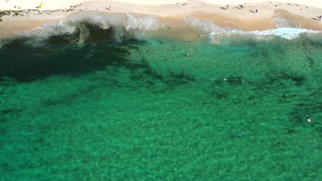 Aerial-topdown-of-Bondi-Beach-ocean-and-beach,-people-in-the-ocean-swimming-and-surfing