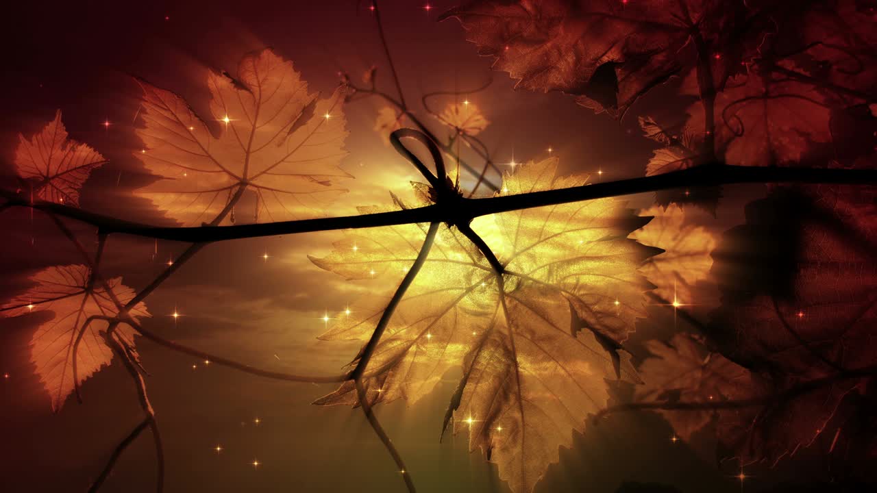 ramas y hojas de vid