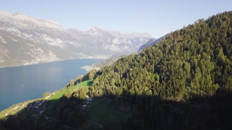 panorama in switzerland with the walensee and a forest in murg