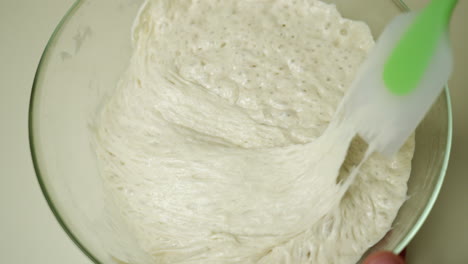 natural leaven is being mixed with a plastic spatula