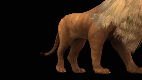 a lion walking and passing by on black background with alpha channel included at the end of the video, 3d animation, perspective view, animated animals