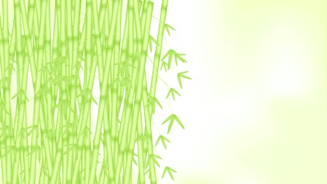 bamboo grove moving by the wind looping and copy space animation 4k on blur green background with alpha channel