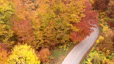 aerial view of incredible roads through the durmitor national park in montenegro full of amazing fall colours during autumn