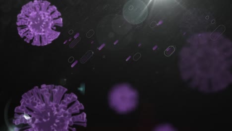 animation of covid 19 cells over purple lights trails