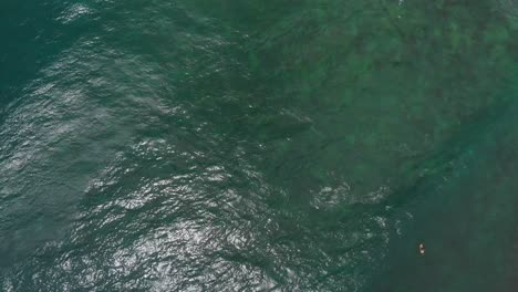 Aerial-view-of-surfers-awaiting-the-best-waves-at-Mt-Irvin-Bay,-Tobago