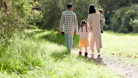 back view, nature and family walking in a forest