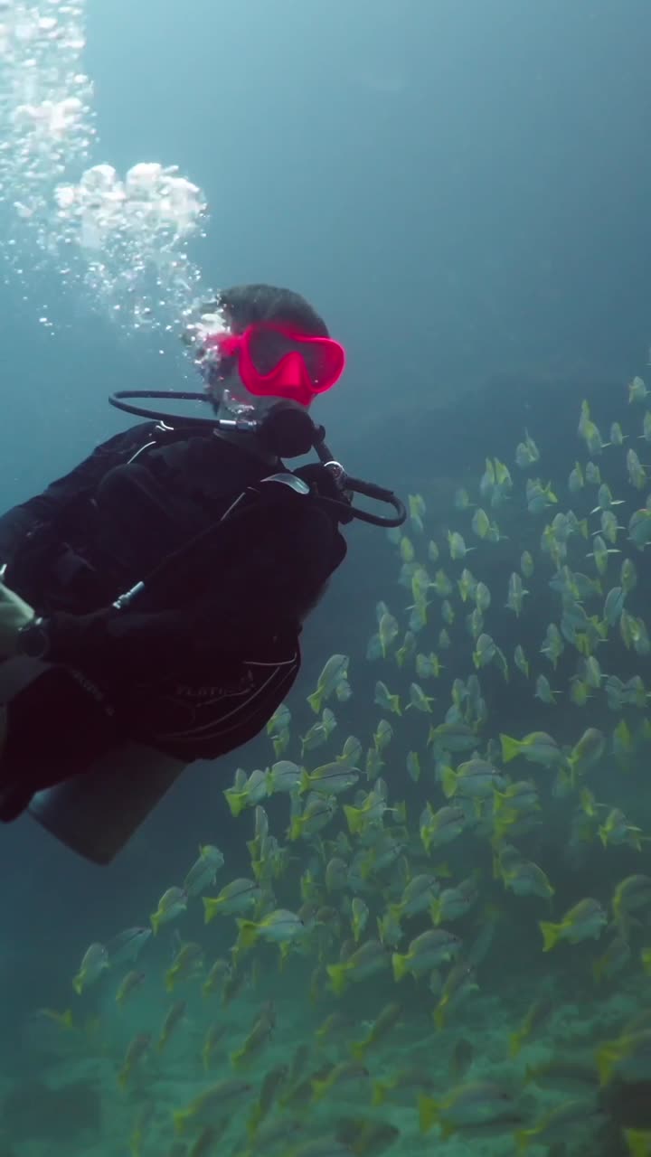 Scuba Diving with Colorful Fish