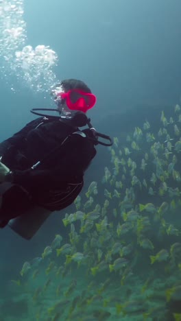 scuba diving with colorful fish