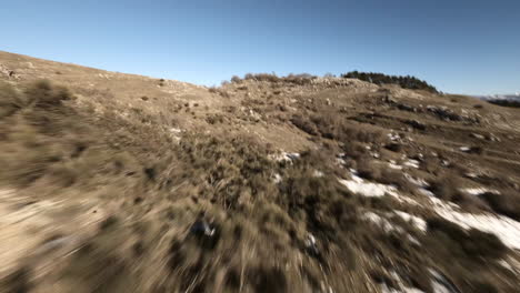 volando sobre árboles y arbustos en un paisaje montañoso cubierto de nieve con un dron fpv