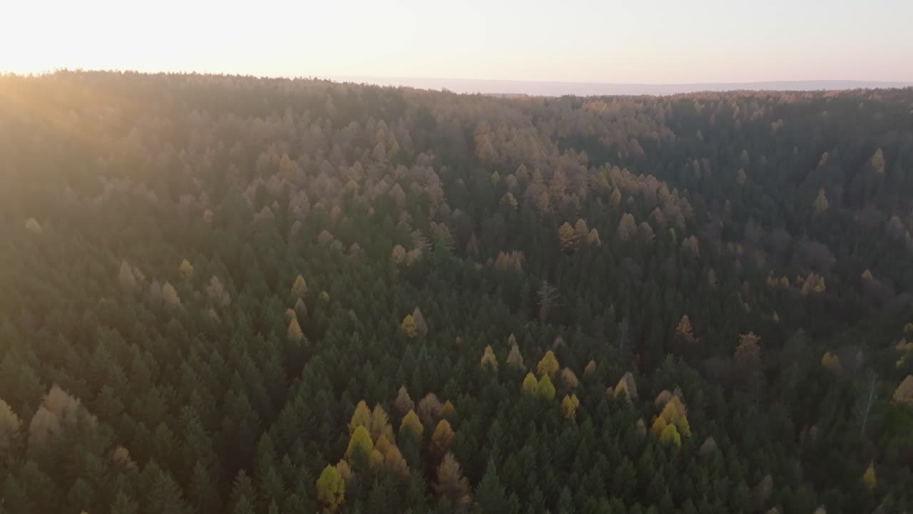 Foresta che si tinge dei colori autunnali. Natura mozzafiato al tramonto nella Repubblica Ceca, Europa