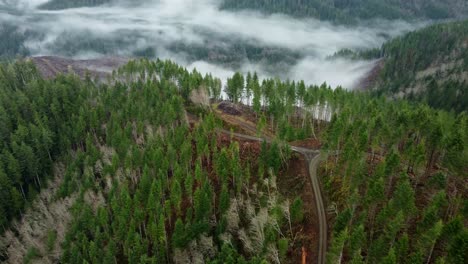 usa, or, lincoln city, , 2024-12-14 - drone view of a clear cut logging area outside lincoln city