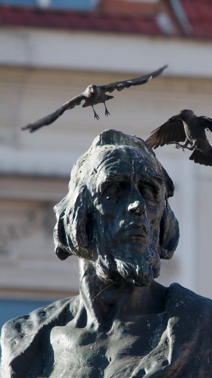 Primo piano di un uccello che atterra e si posa su una statua di bronzo, luce diurna, telecamera fissa, monumento urbano